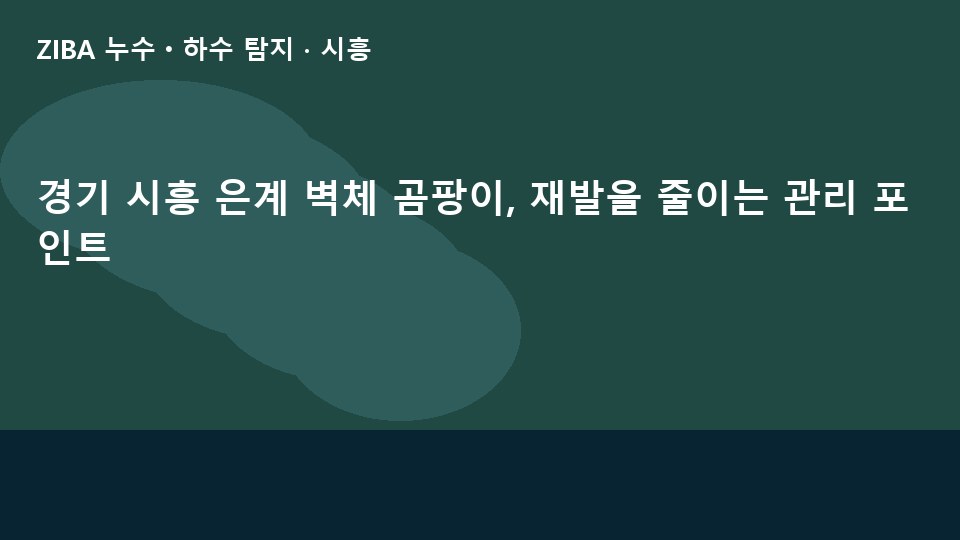 경기 시흥 은계 벽체 곰팡이, 재발을 줄이는 관리 포인트
