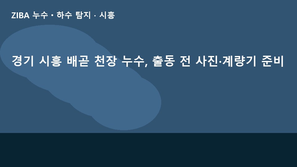 경기 시흥 배곧 천장 누수, 출동 전 사진·계량기 준비