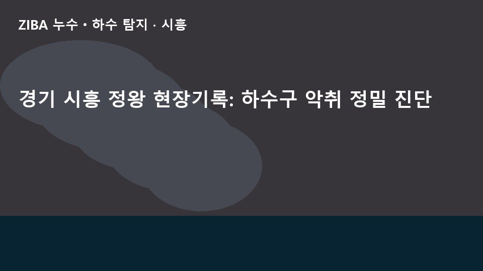 경기 시흥 정왕 현장기록: 하수구 악취 정밀 진단