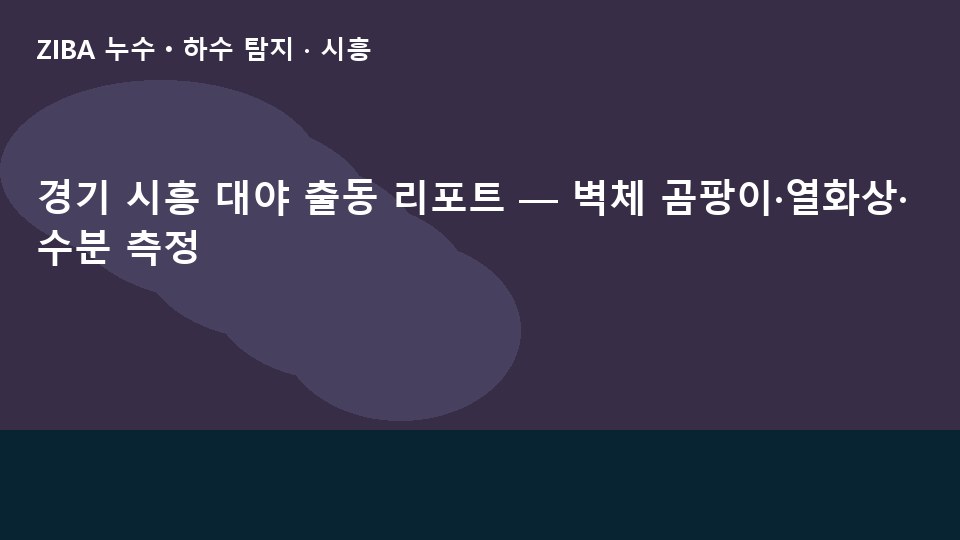 경기 시흥 대야 출동 리포트 — 벽체 곰팡이·열화상·수분 측정