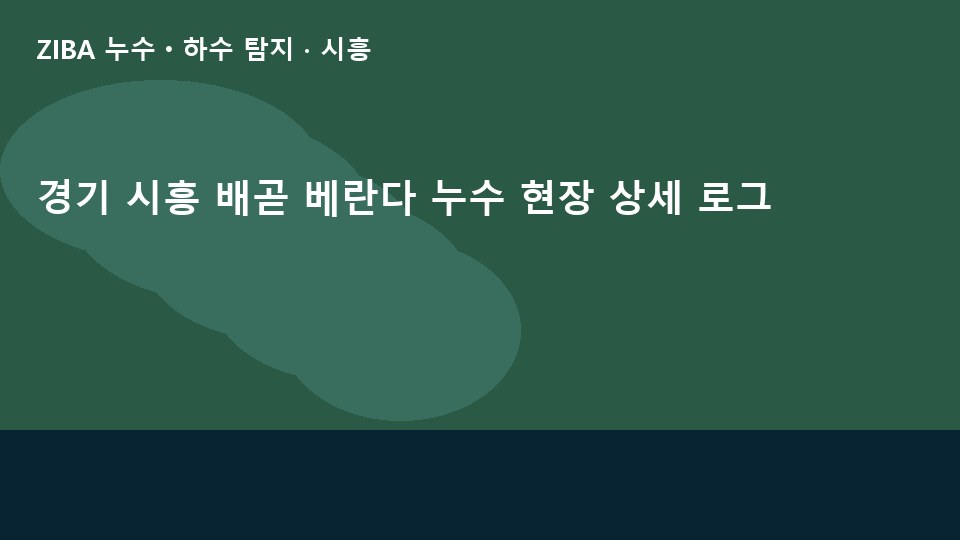 경기 시흥 배곧 베란다 누수 현장 상세 로그